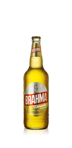 dorada brahma