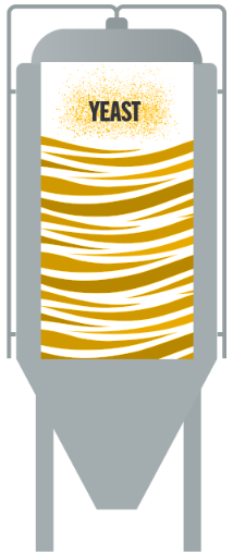 icon OBERGÄRIGE BIERE